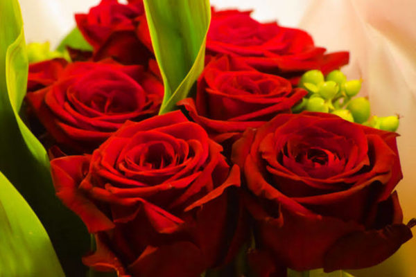 Flowers for an Essenceful Valentine