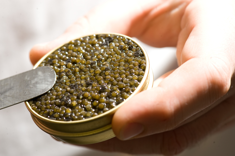 Kaluga caviar