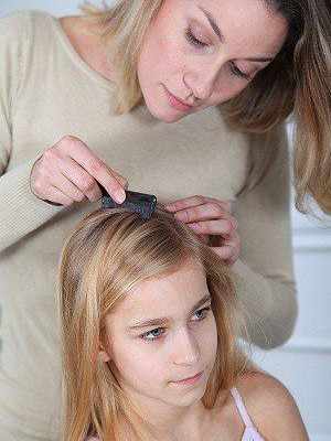 Complete Lice Removal Kit