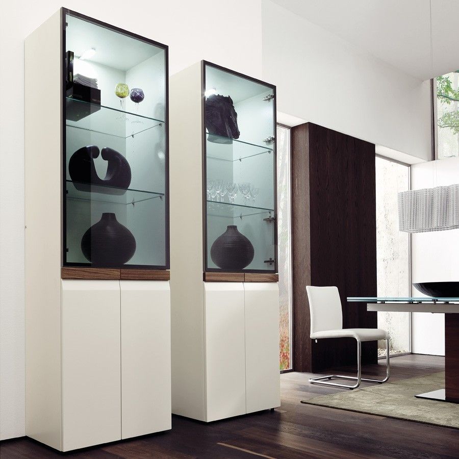 Modern display cabinets