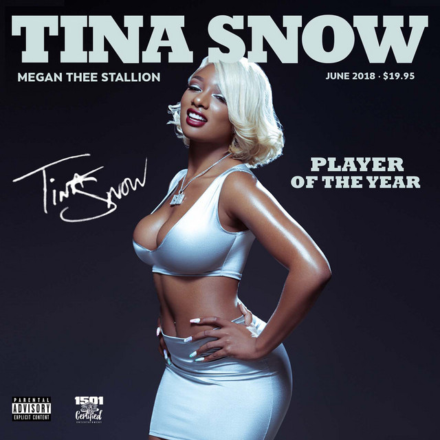 Megan Thee Stallion net worth