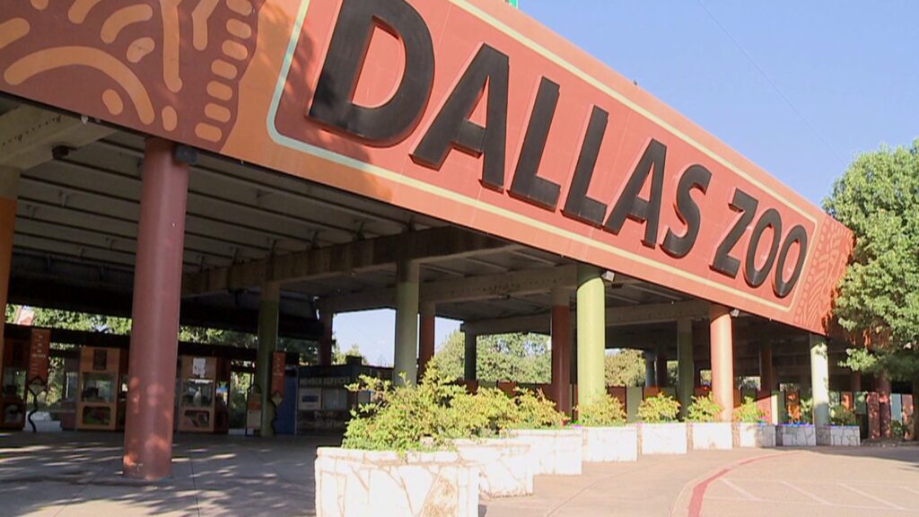 Things to Do in Dallas with Kids