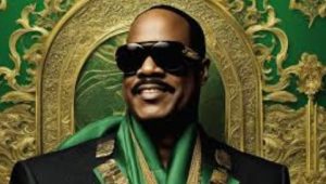 Stevie Wonder Net Worth